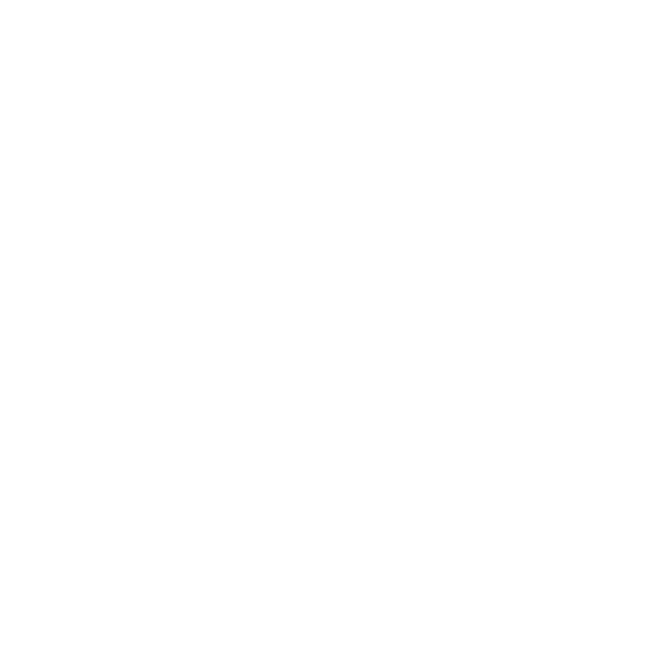 Logo Certificazione Iso9001